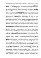 Valdymo apskaita (konspektas) 3 puslapis