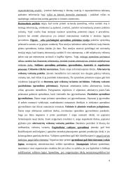 Valdymo apskaita (konspektas) 4 puslapis