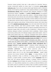 Valdymo apskaita (konspektas) 10 puslapis