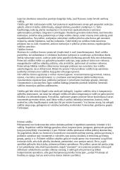 Valdžia. Valdžios formos 2 puslapis