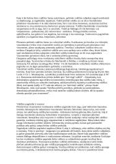 Valdžia. Valdžios formos 3 puslapis