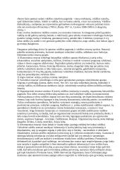 Valdžia. Valdžios formos 4 puslapis