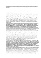 Valdžia. Valdžios formos 7 puslapis