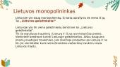 Monopolija versle ir Lietuvoje 4 puslapis