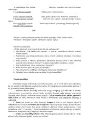 Maironis. Pavasario balsai 6 puslapis