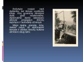 Jurgis Savickis, jo gyvenimas bei kūryba 8 puslapis