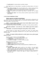 Vartotojų elgsenos turinys. Modeliai 11 puslapis