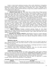 Vartotojų elgsenos turinys. Modeliai 13 puslapis