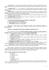 Vartotojų elgsenos turinys. Modeliai 17 puslapis