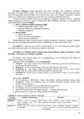 Vartotojų elgsenos turinys. Modeliai 20 puslapis