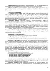 Vartotojų elgsenos turinys. Modeliai 5 puslapis