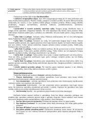 Vartotojų elgsenos turinys. Modeliai 10 puslapis