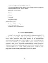 Krovinių ir keleivių vežimas geležinkelių transportu 20 puslapis