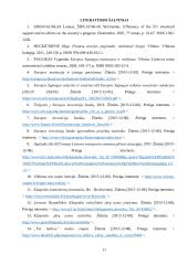 EIB įtakos Lietuvos ekonomikos plėtrai analizė 10 puslapis