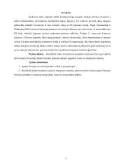 EIB įtakos Lietuvos ekonomikos plėtrai analizė 2 puslapis