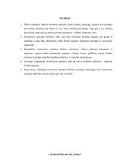 Einamosios sąskaitos deficito priežastys 10 puslapis