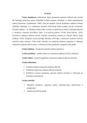 Einamosios sąskaitos deficito priežastys 2 puslapis