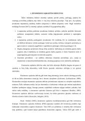 Einamosios sąskaitos deficito priežastys 3 puslapis