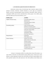 Einamosios sąskaitos deficito priežastys 5 puslapis