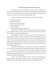 Einamosios sąskaitos deficito priežastys 7 puslapis