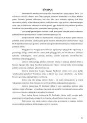 Europos pinigų sistemos kūrimo privilegijos 10 puslapis