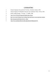 Europos pinigų sistemos kūrimo privilegijos 11 puslapis