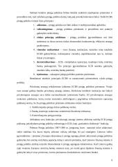 Europos pinigų sistemos kūrimo privilegijos 8 puslapis