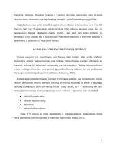 Euro zonos vaidmuo tarptautinėje finansų sistemoje 4 puslapis