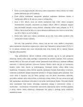 Euro zonos vaidmuo tarptautinėje finansų sistemoje 6 puslapis