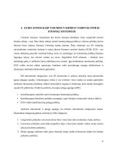 Euro zonos vaidmuo tarptautinėje finansų sistemoje 7 puslapis