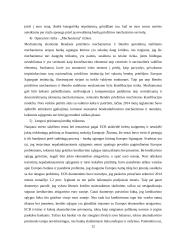 Europos bankų sąjungos kūrimo sunkumai 11 puslapis