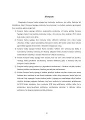 Europos bankų sąjungos kūrimo sunkumai 13 puslapis