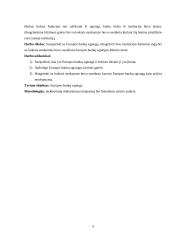 Europos bankų sąjungos kūrimo sunkumai 3 puslapis