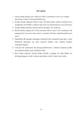 Europos Bankų Sąjungos kūrimo iššūkiai 9 puslapis