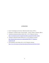Europos centrinio banko ir Tarptautinio atsiskaitymų banko bendradarbiavimo formos 11 puslapis
