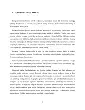 Europos centrinio banko ir Tarptautinio atsiskaitymų banko bendradarbiavimo formos 3 puslapis