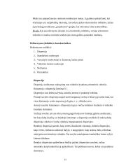 Vidurkiai ir išsibarstymo charakteristikos 11 puslapis