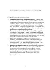 Europos centrinių bankų sistemos pinigų politikos įgyvendinimo sunkumai 7 puslapis