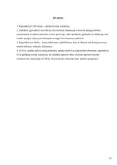 Europos centrinių bankų sistemos pinigų  politikos įgyvendinimo problemos 11 puslapis