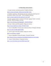 Europos pinigų sąjungos plėtros kliūtys 10 puslapis