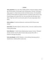 Europos pinigų sąjungos plėtros kliūtys 2 puslapis