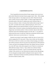 Europos pinigų sąjungos plėtros kliūtys 5 puslapis