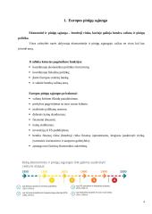 Europos pinigų sąjungos plėtros kliūtys ir iššūkiai 3 puslapis