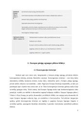 Europos pinigų sąjungos plėtros kliūtys ir iššūkiai 5 puslapis
