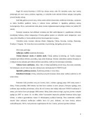 Europos pinigų sąjungos plėtros kliūtys ir iššūkiai 7 puslapis