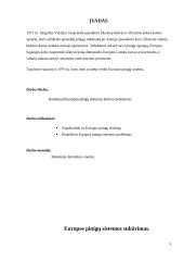 Europos pinigų sistemos kūrimo problemos 2 puslapis