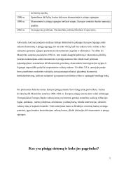 Europos pinigų sistemos kūrimo problemos 4 puslapis