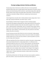 Europos pinigų sistemos kūrimo problemos 6 puslapis