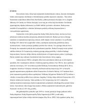 Eurovaliutos paskolų rinkos bruožai 2 puslapis