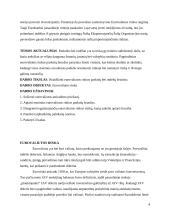 Eurovaliutos paskolų rinkos bruožai 3 puslapis